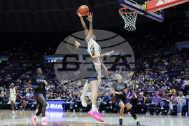 Texas Arlington LSU Badsketball