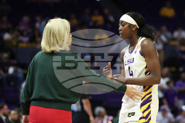 Texas Arlington LSU Badsketball