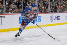 Avalanche Wild Hockey