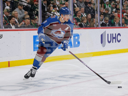 Avalanche Wild Hockey