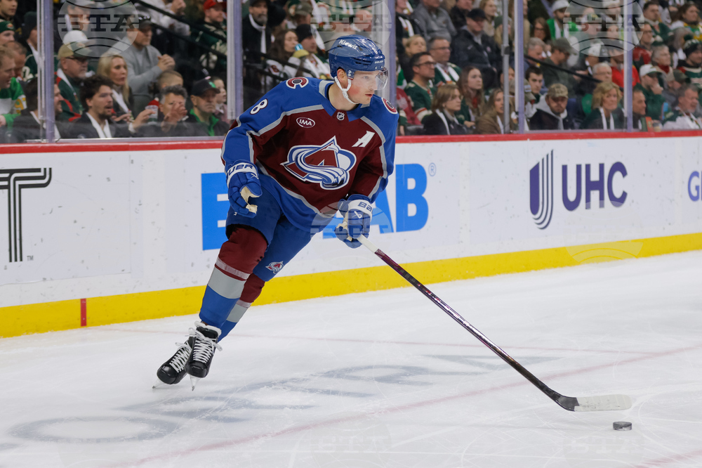 Avalanche Wild Hockey