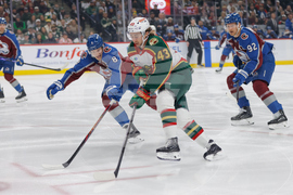 Avalanche Wild Hockey