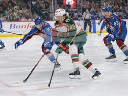 Avalanche Wild Hockey