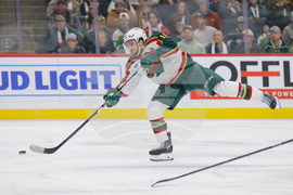 Avalanche Wild Hockey