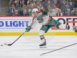 Avalanche Wild Hockey