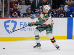 Avalanche Wild Hockey