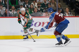 Avalanche Wild Hockey