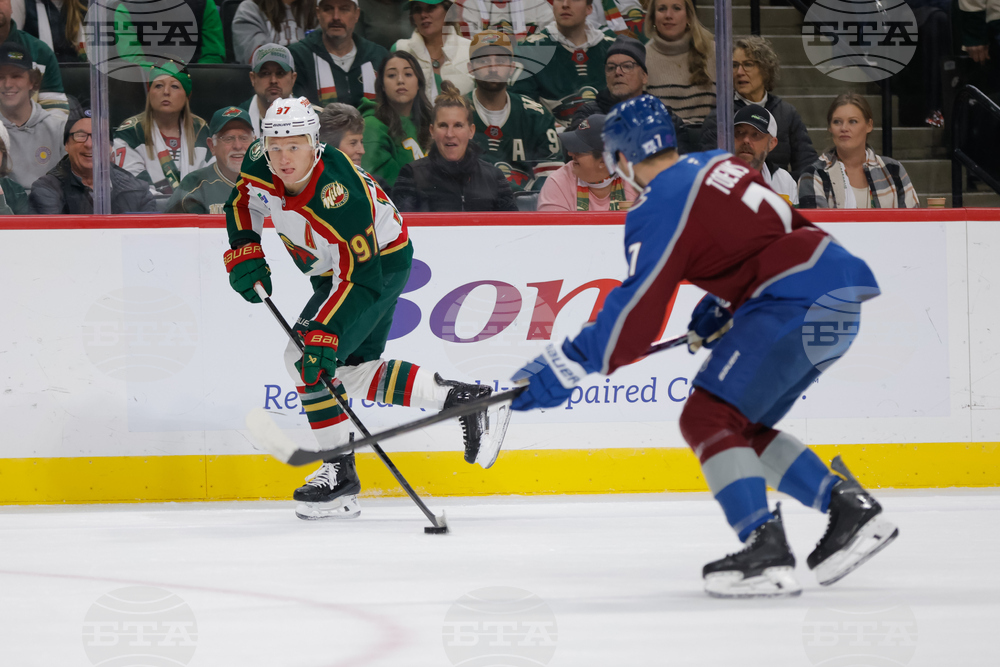 Avalanche Wild Hockey