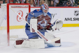 Avalanche Wild Hockey