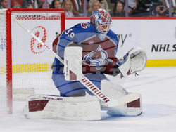 Avalanche Wild Hockey