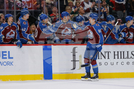 Avalanche Wild Hockey