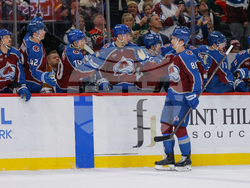 Avalanche Wild Hockey
