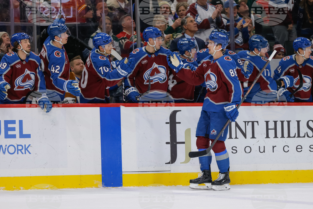 Avalanche Wild Hockey