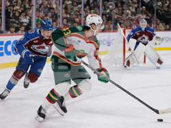 Avalanche Wild Hockey