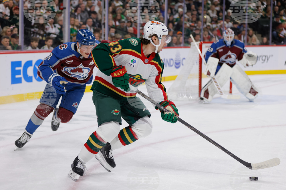 Avalanche Wild Hockey