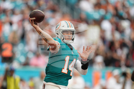 Bengals Dolphins Football