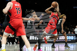 Raptors Nets Basketball