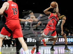 Raptors Nets Basketball