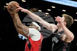Raptors Nets Basketball