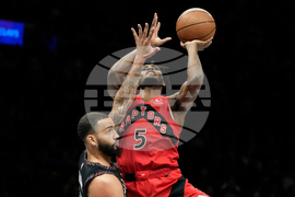 Raptors Nets Basketball