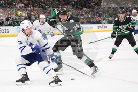 Maple Leafs Stars Hockey