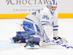 Maple Leafs Stars Hockey