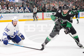 Maple Leafs Stars Hockey