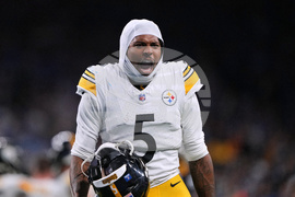 Steelers Lions Football