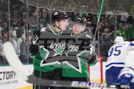 Maple Leafs Stars Hockey