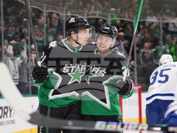 Maple Leafs Stars Hockey