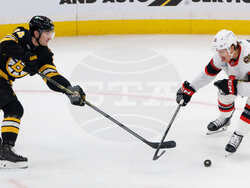 Senators Bruins Hockey