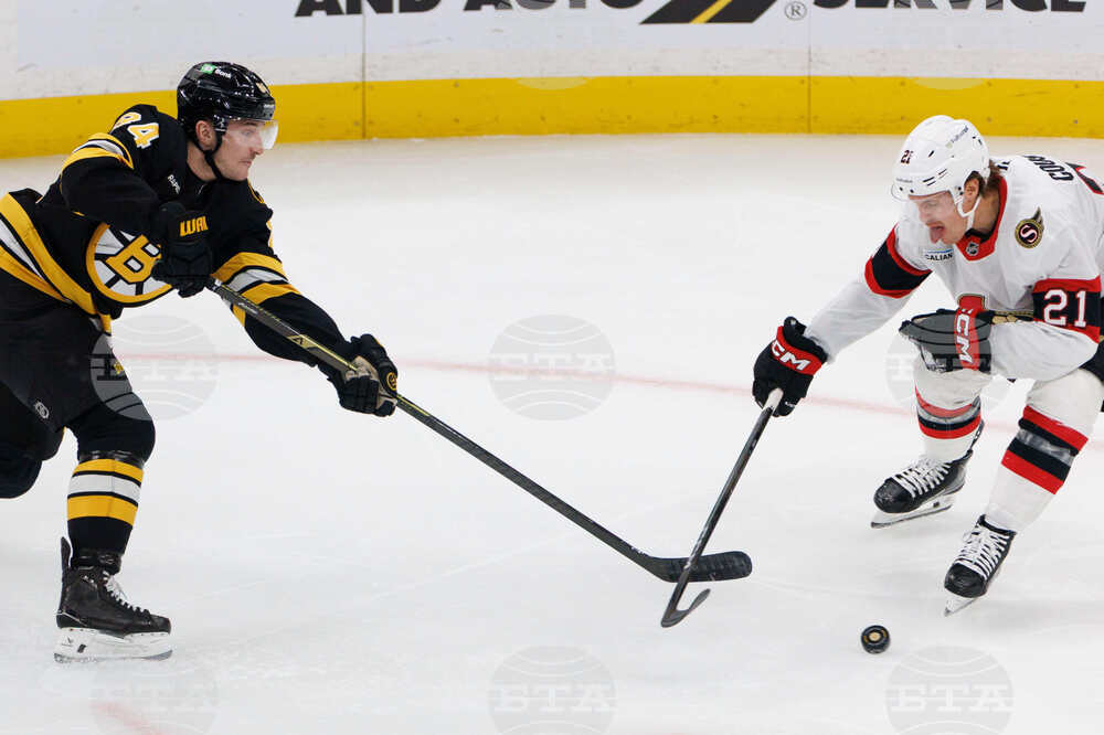 Senators Bruins Hockey