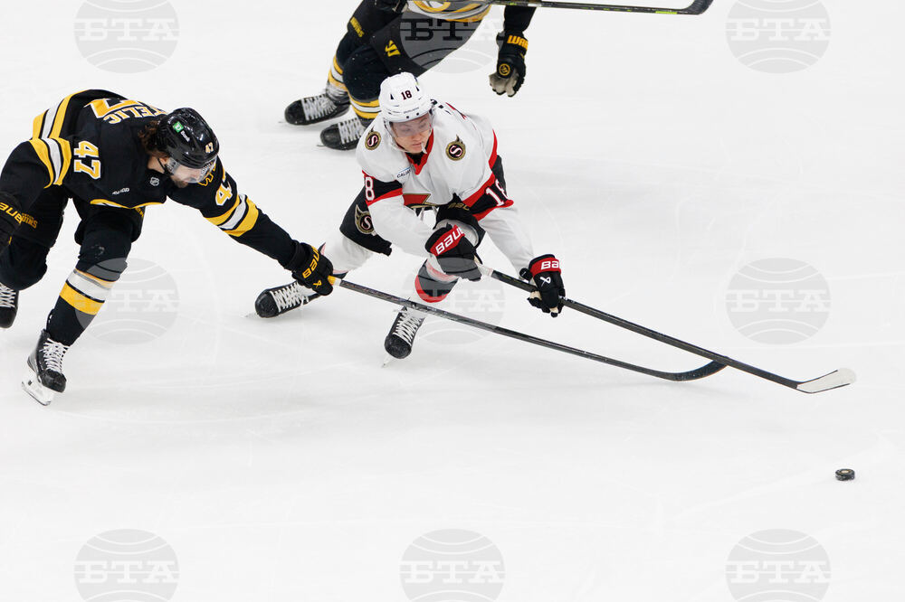 Senators Bruins Hockey