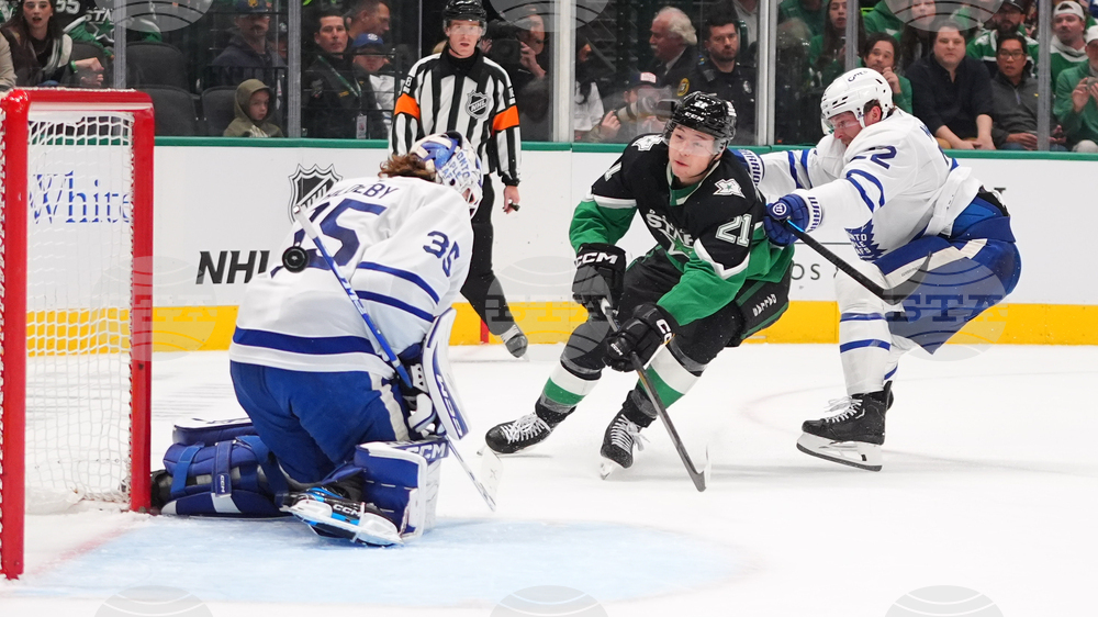 Maple Leafs Stars Hockey