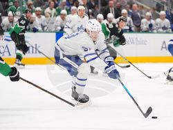 Maple Leafs Stars Hockey