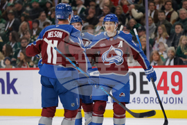 Avalanche Wild Hockey