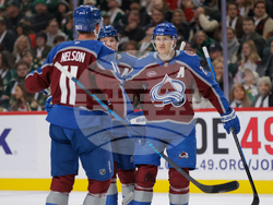 Avalanche Wild Hockey