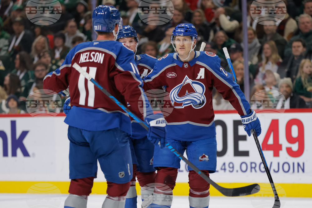 Avalanche Wild Hockey