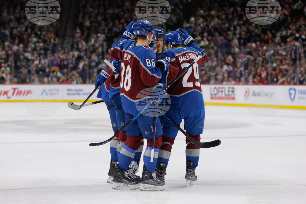 Avalanche Wild Hockey