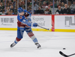 Avalanche Wild Hockey