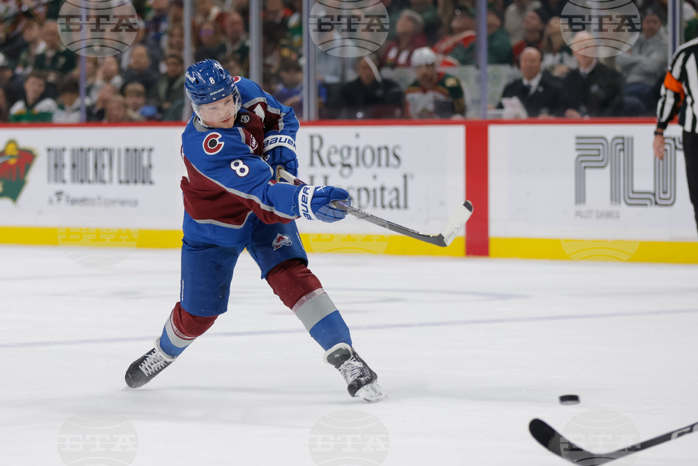 Avalanche Wild Hockey