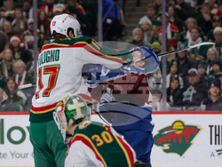 Avalanche Wild Hockey