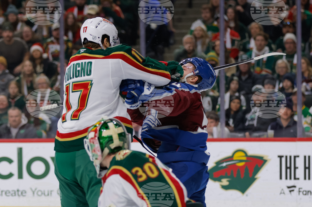 Avalanche Wild Hockey