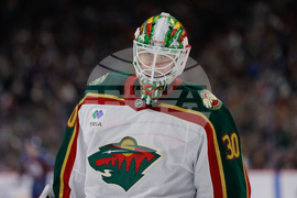 Avalanche Wild Hockey