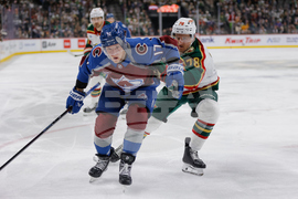 Avalanche Wild Hockey