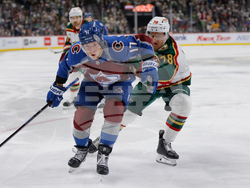 Avalanche Wild Hockey