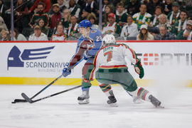 Avalanche Wild Hockey