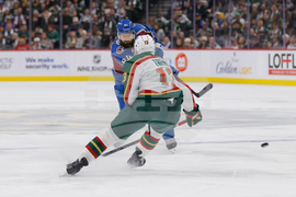 Avalanche Wild Hockey