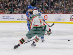 Avalanche Wild Hockey