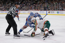 Avalanche Wild Hockey